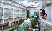 Oasis Of The Seas Balcony Stateroom