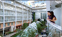 Allure Of The Seas Balcony Stateroom